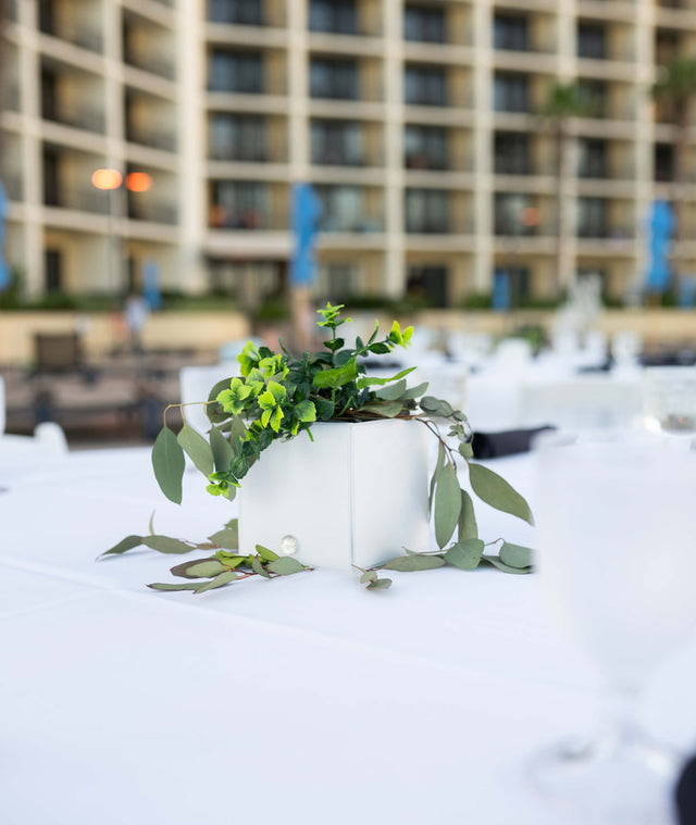 The Original Genesis Foldable Solar Lantern by LOOLA®